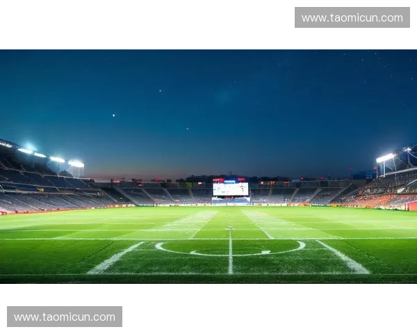 全球足球财富版图解析谁在掌控绿茵场上的金钱与荣耀